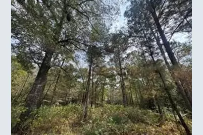 263 Winchester Road, Huntsville, TX 77340 - Photo 9