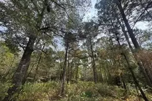 263 Winchester Rd, Huntsville, TX 77340 - Photo 9