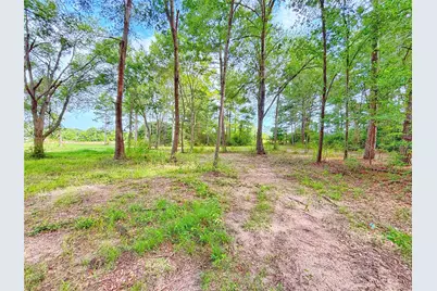 1116 N Olive Street, Grapeland, TX 75844 - Photo 23