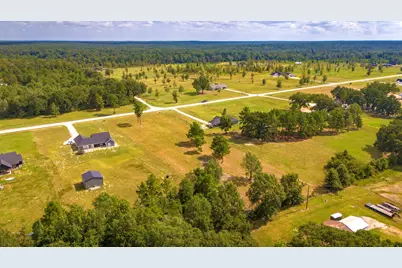 350 Brushy Creek Drive, Onalaska, TX 77360 - Photo 11