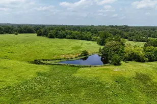 000 Cr 2780, Colmesneil, TX 75938 - Photo 1