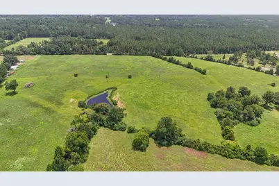 000 Cr 2780, Colmesneil, TX 75938 - Photo 21