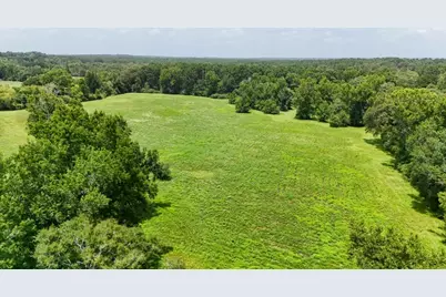 000 Cr 2780, Colmesneil, TX 75938 - Photo 11