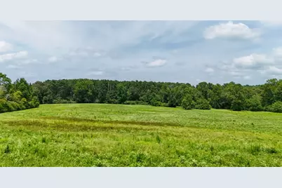 000 Cr 2780, Colmesneil, TX 75938 - Photo 29