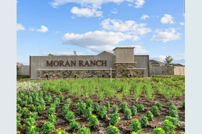 221 Crystal Bay Ln, Willis, TX 77378 - Photo 21