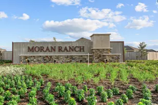 221 Crystal Bay Ln, Willis, TX 77378 - Photo 21