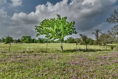40.00 Acres Fm 141, Giddings, TX 78942 - Photo 31