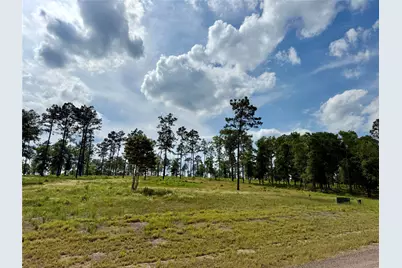 Lot 74 Western Road, Livingston, TX 77351 - Photo 3