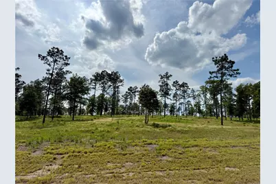 Lot 74 Western Road, Livingston, TX 77351 - Photo 1