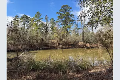 55 Lake Road, Riverside, TX 77320 - Photo 49