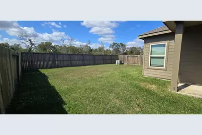 10438 Junction Peak Drive, Rosharon, TX 77583 - Photo 19