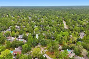 60 W Twinberry Pl, The Woodlands, TX 77381 - Photo 41