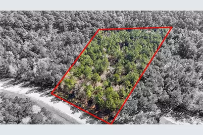 5-23-14 Rim Rock Road, Huntsville, TX 77340 - Photo 19
