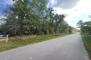 25533 Northampton, New Caney, TX 77357 - Photo 3