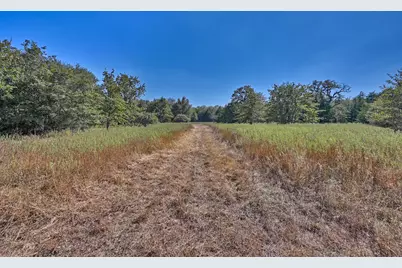 Tbd Ullrich Road, Carmine, TX 78932 - Photo 17
