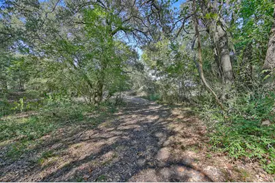 Tbd Ullrich Road, Carmine, TX 78932 - Photo 5