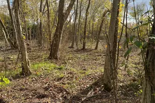 13700 Almeda School Rd, Houston, TX 77047 - Photo 3