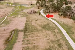 Lot 14 Charleston St, Trinity, TX 75862 - Photo 1