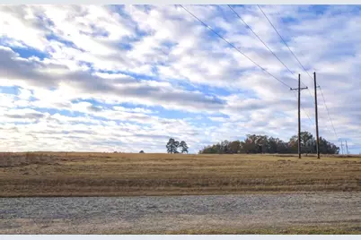 Lot 14 Charleston Street, Trinity, TX 75862 - Photo 3