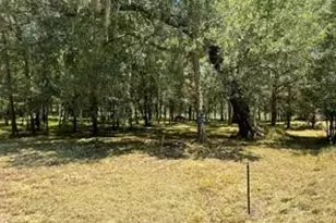 000 Sour Lake Circle, Cleveland, TX 77327 - Photo 1
