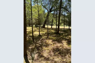 000 Sour Lake Circle, Cleveland, TX 77327 - Photo 7