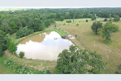 6533 Cr 233, Centerville, TX 75833 - Photo 1