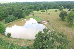 6533 Cr 233, Centerville, TX 75833 - Photo 1
