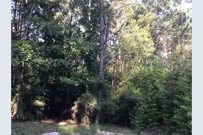 272 Artesian, Onalaska, TX 77360 - Photo 7