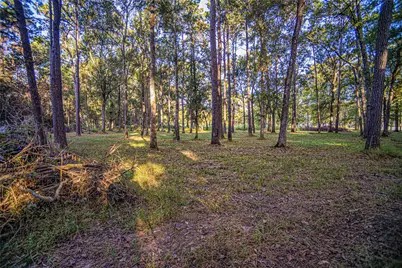 1319 County Road 3434 S, Cleveland, TX 77327 - Photo 3