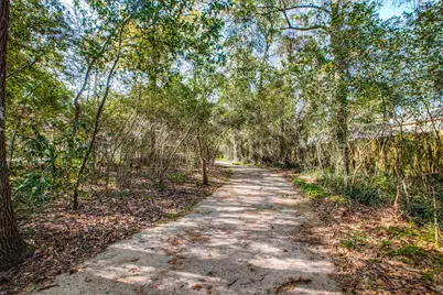 24 E Torch Pine Circle, The Woodlands, TX 77381 - Photo 33