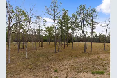 Tbd Lot 3 Fm 3152 Road, Livingston, TX 77351 - Photo 5