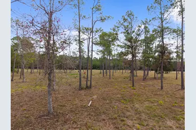 Tbd Lot 3 Fm 3152 Road, Livingston, TX 77351 - Photo 7
