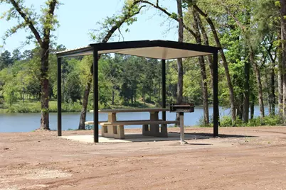 Tract 159 Private Road 1311, Centerville, TX 75833 - Photo 7