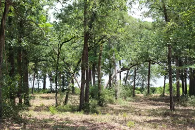 Tract 159 Private Road 1311, Centerville, TX 75833 - Photo 19