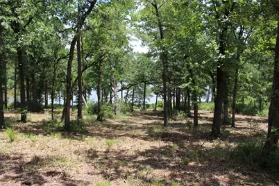 Tract 159 Private Road 1311, Centerville, TX 75833 - Photo 21