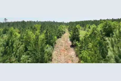 0004 Sh 249, Navasota, TX 77868 - Photo 13