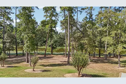 15450 Shady Oaks Drive, Stagecoach, TX 77355 - Photo 3