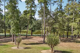 15450 Shady Oaks Dr, Stagecoach, TX 77355 - Photo 3