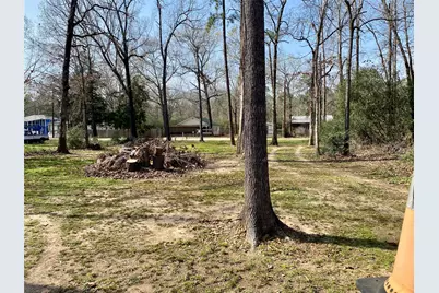 193 Rosemary Lane, Livingston, TX 77351 - Photo 5