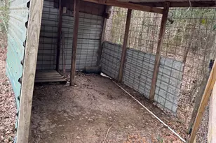 23278 Morgan Cemetary, Splendora, TX 77372 - Photo 9