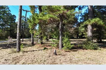 4769 Us-59, Livingston, TX 77351 - Photo 9