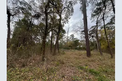 0 Tbd Cripple Creek Dr, Pinehurst, TX 77362 - Photo 5