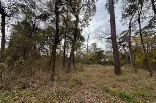 0 Tbd Cripple Creek Dr, Pinehurst, TX 77362 - Photo 5