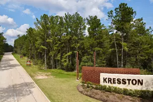 26120 North Skylight Brook Circle, Montgomery, TX 77316 - Photo 9