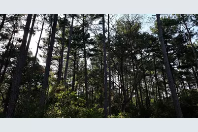 0000 Evergreen Lot 7 Fm 362 Road, Waller, TX 77484 - Photo 19