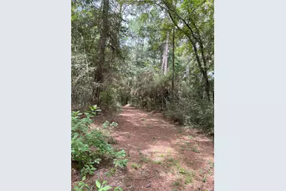 0000 Evergreen Lot 7 Fm 362 Road, Waller, TX 77484 - Photo 13