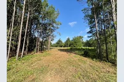 Lot 4 E Fm 942, Livingston, TX 77351 - Photo 5