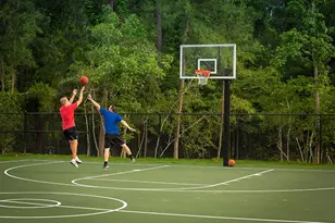 227 Muirfield Pointe Wy, Montgomery, TX 77316 - Photo 49