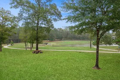 8604 Trinity Pines Court, Montgomery, TX 77316 - Photo 47