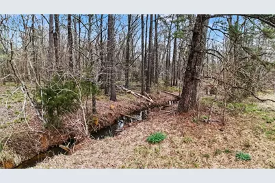 Tbd US Highway 96 S Highway, San Augustine, TX 75972 - Photo 5